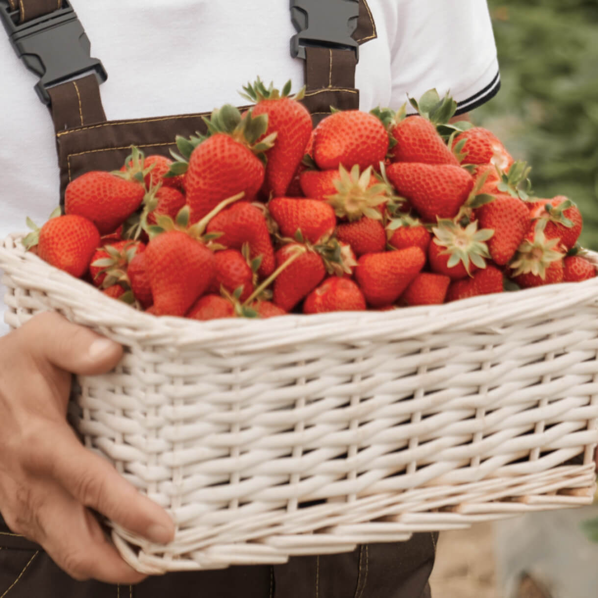 Carousel Main Image 3