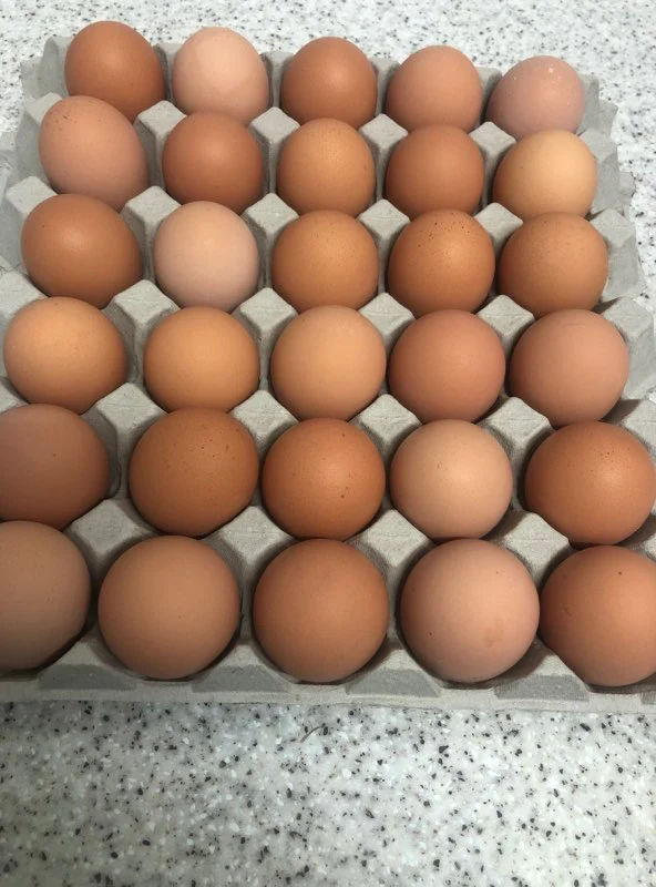 Free-Range Eggs - 30 Pack